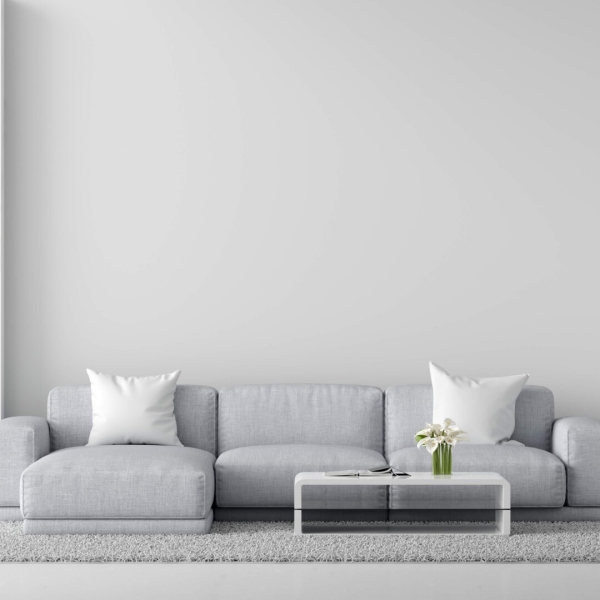 gray-sofa-white-living-room-interior-with-copy-space-3d-rendering (1)